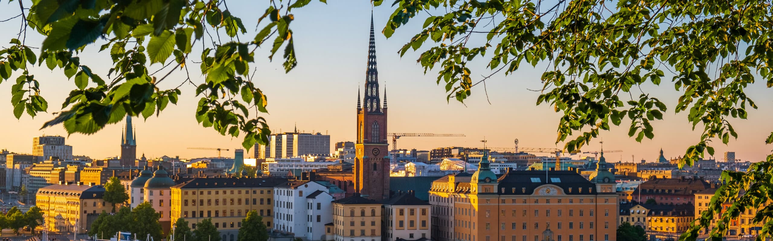 Bild för eventet: SSIL Utbildningsdag - LSS