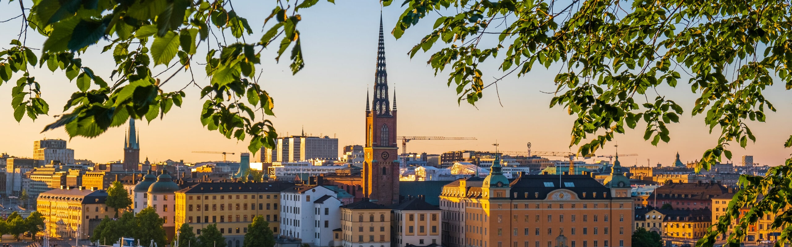 Bild för eventet: SSIL Utbildningsdag - LSS 20 maj 2026