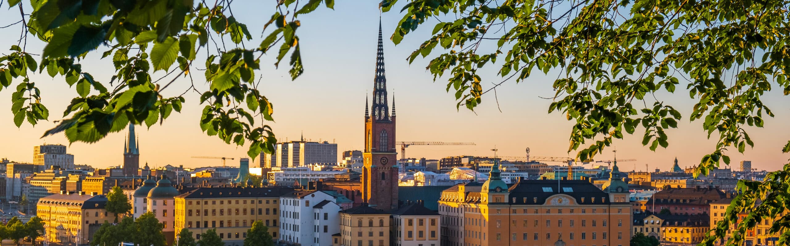 Bild för eventet: SSIL Utbildningsdag - Framtidens socialtjänst