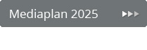 Mediaplan 2024